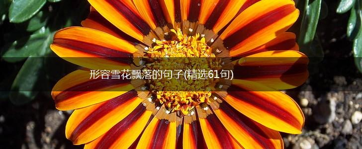 形容雪花飘落的句子(精选61句),第1张