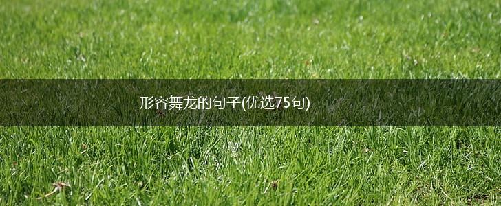 形容舞龙的句子(优选75句),第1张