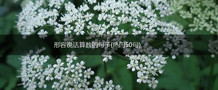 形容说话算数的句子(热门50句),第1张