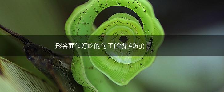 形容面包好吃的句子(合集40句),第1张