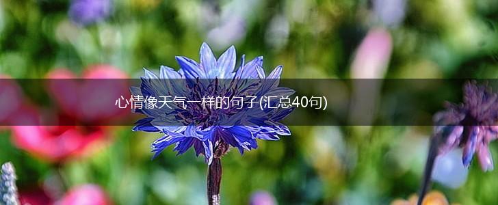 心情像天气一样的句子(汇总40句),第1张