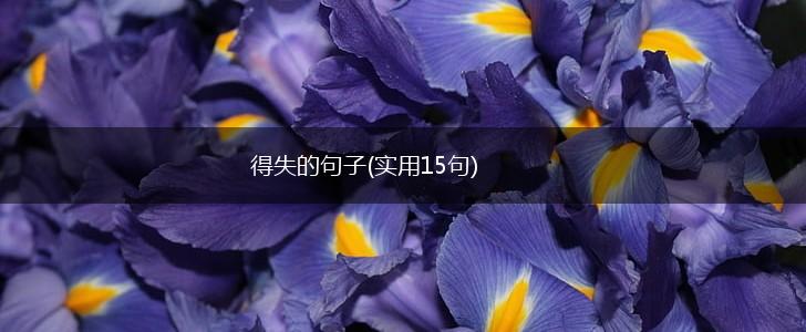 得失的句子(实用15句),第1张