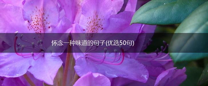 怀念一种味道的句子(优选50句),第1张