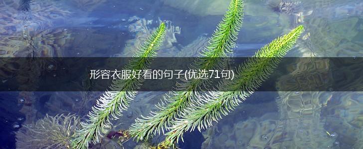 形容衣服好看的句子(优选71句),第1张