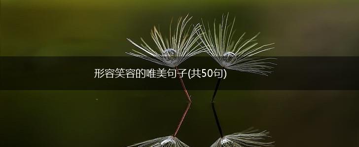 形容笑容的唯美句子(共50句),第1张