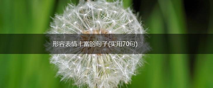 形容表情丰富的句子(实用70句),第1张