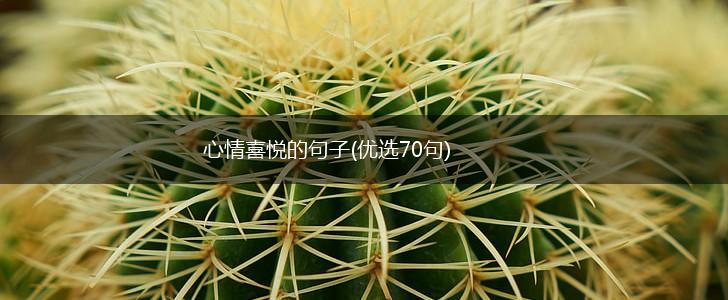 心情喜悦的句子(优选70句),第1张