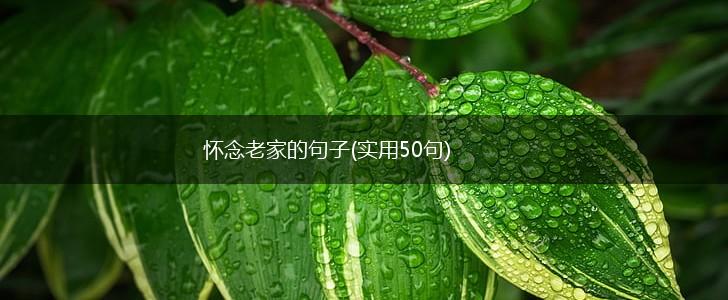 怀念老家的句子(实用50句),第1张