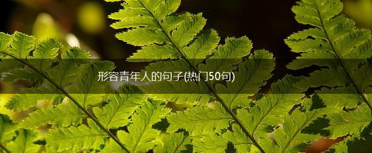 形容青年人的句子(热门50句),第1张