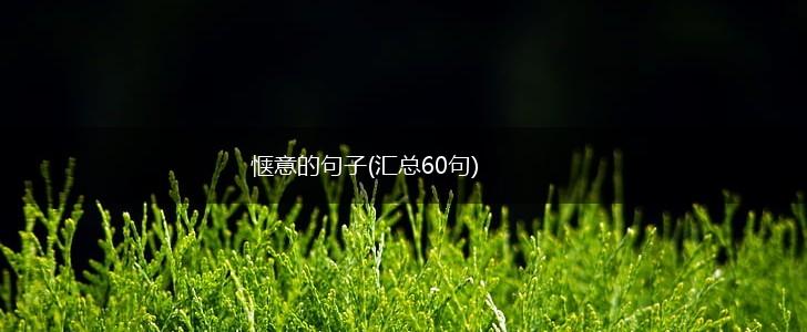 惬意的句子(汇总60句),第1张