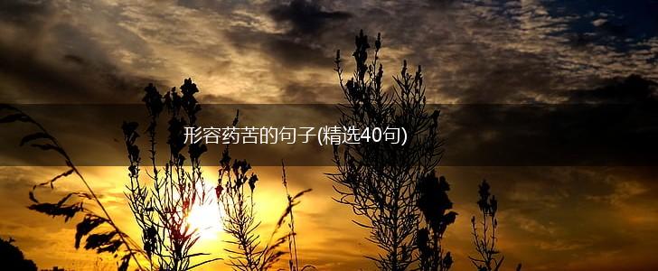 形容药苦的句子(精选40句),第1张