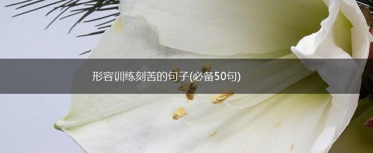 形容训练刻苦的句子(必备50句),第1张