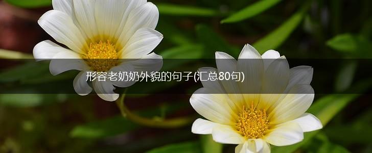 形容老奶奶外貌的句子(汇总80句),第1张