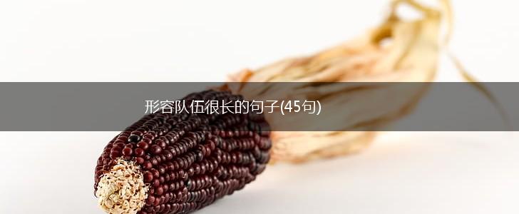 形容队伍很长的句子(45句),第1张