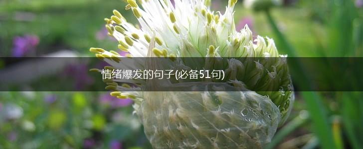 情绪爆发的句子(必备51句),第1张