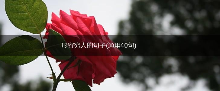 形容穷人的句子(通用40句),第1张