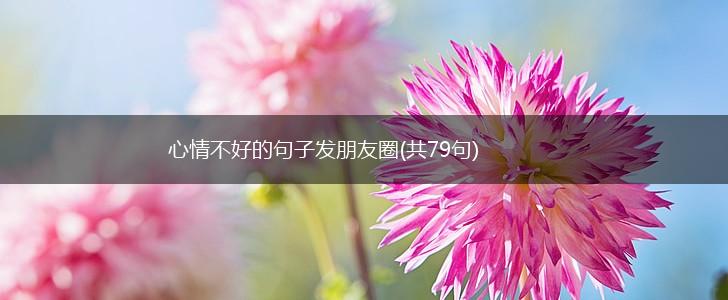 心情不好的句子发朋友圈(共79句),第1张
