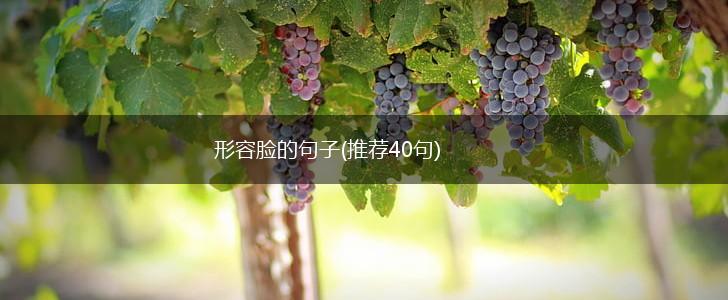 形容脸的句子(推荐40句),第1张