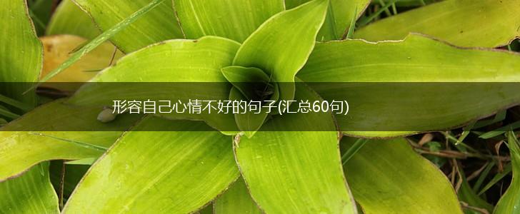 形容自己心情不好的句子(汇总60句),第1张