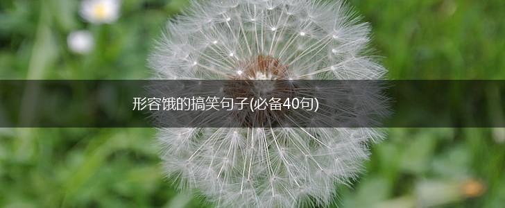 形容饿的搞笑句子(必备40句),第1张