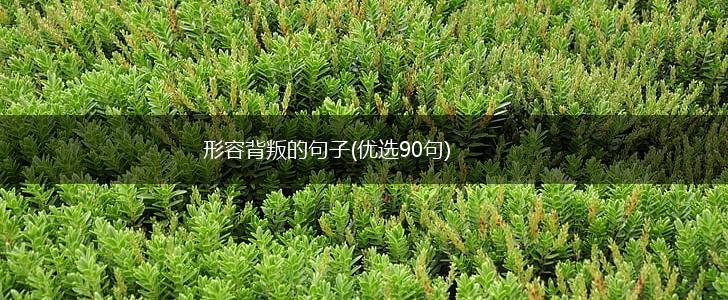 形容背叛的句子(优选90句),第1张