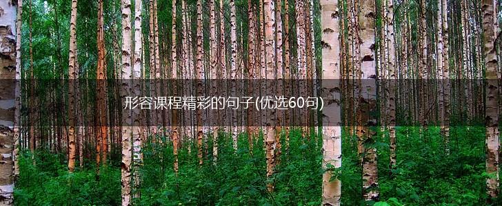 形容课程精彩的句子(优选60句),第1张