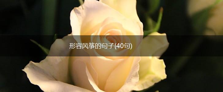 形容风筝的句子(40句),第1张