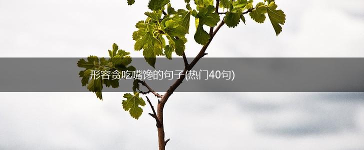 形容贪吃嘴馋的句子(热门40句),第1张