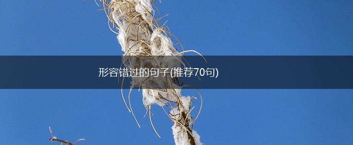 形容错过的句子(推荐70句),第1张