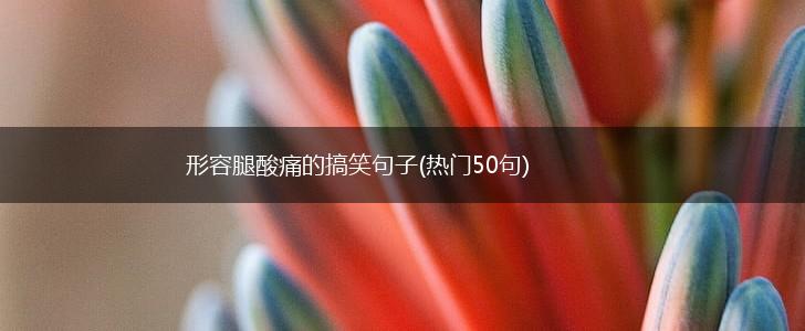 形容腿酸痛的搞笑句子(热门50句),第1张