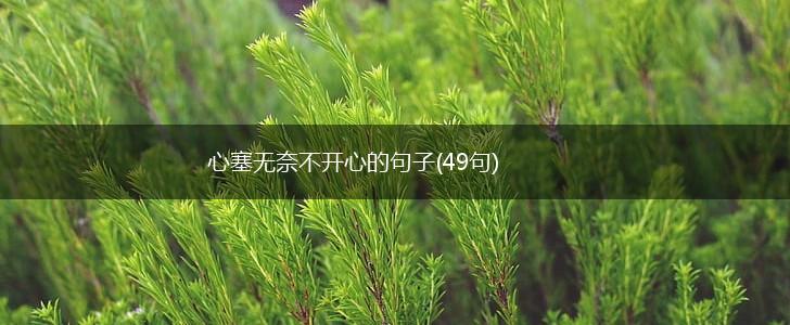 心塞无奈不开心的句子(49句),第1张