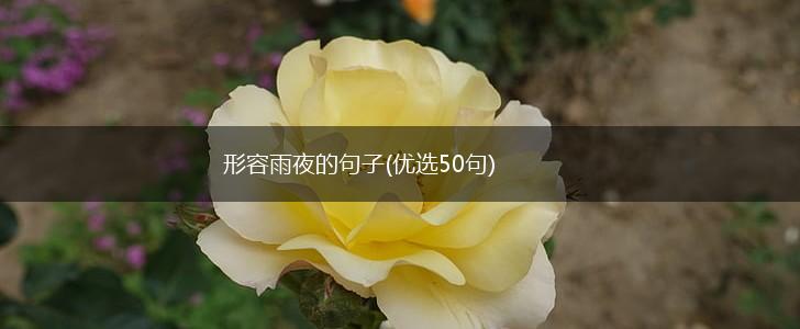 形容雨夜的句子(优选50句),第1张
