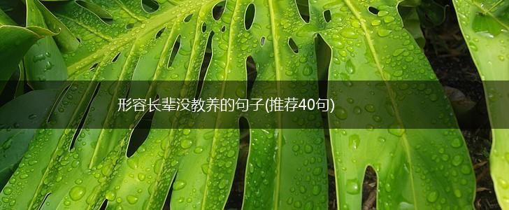 形容长辈没教养的句子(推荐40句),第1张