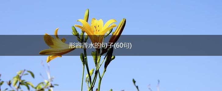 形容香水的句子(60句),第1张