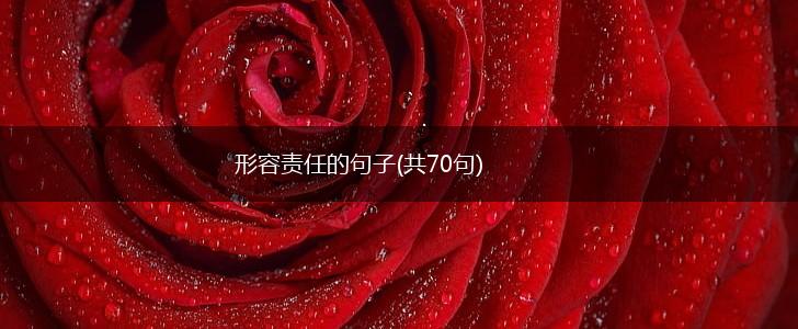 形容责任的句子(共70句),第1张