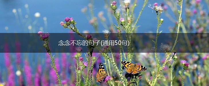 念念不忘的句子(通用50句),第1张