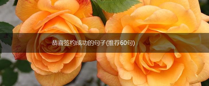恭喜签约成功的句子(推荐60句),第1张