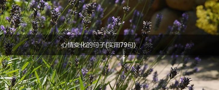 心情变化的句子(实用79句),第1张