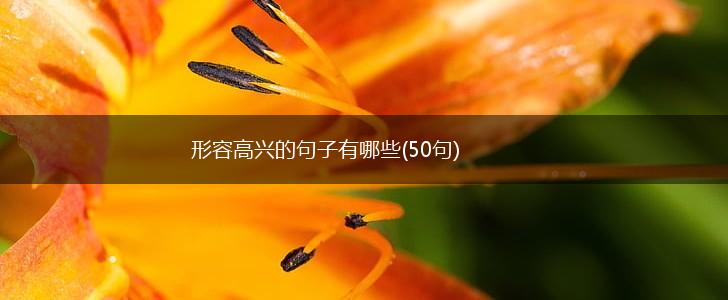 形容高兴的句子有哪些(50句),第1张