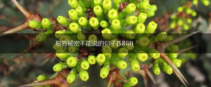 形容秘密不能说的句子(58句),第1张