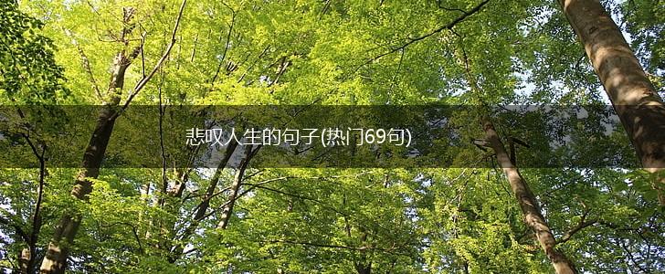 悲叹人生的句子(热门69句),第1张