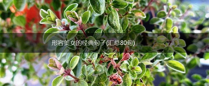 形容美女的经典句子(汇总80句),第1张