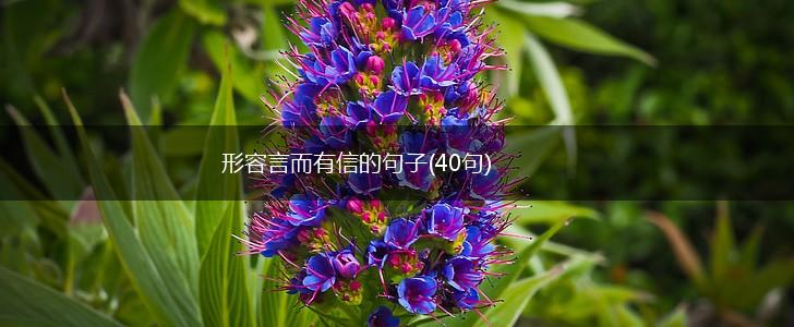 形容言而有信的句子(40句),第1张