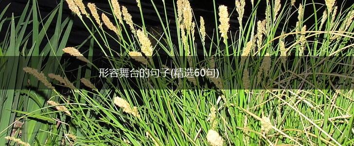 形容舞台的句子(精选60句),第1张