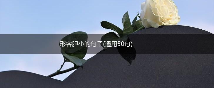 形容胆小的句子(通用50句),第1张