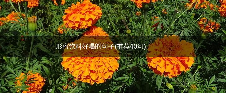 形容饮料好喝的句子(推荐40句),第1张