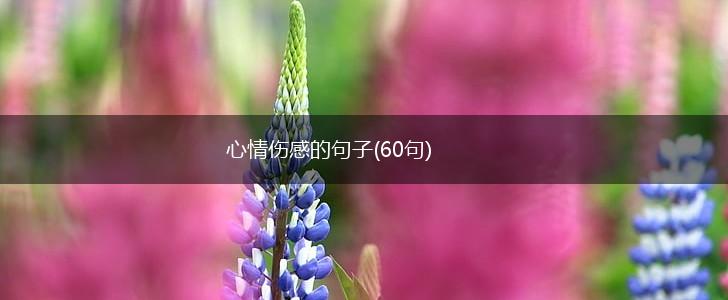 心情伤感的句子(60句),第1张