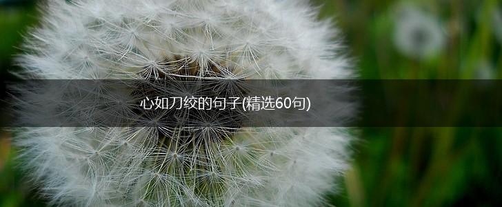 心如刀绞的句子(精选60句),第1张