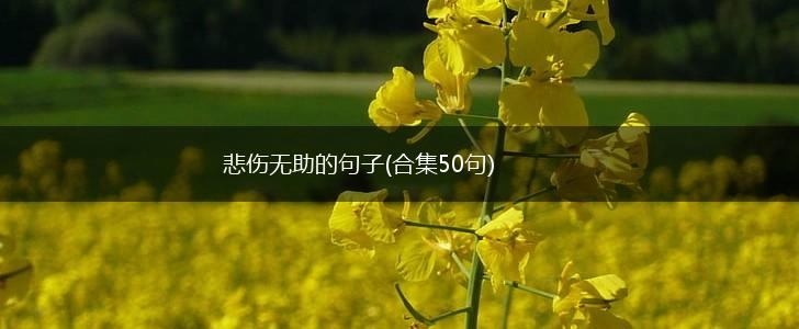 悲伤无助的句子(合集50句),第1张