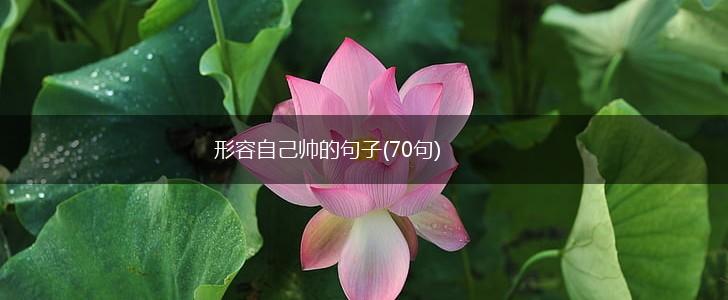 形容自己帅的句子(70句),第1张
